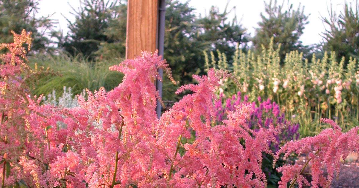 Earthworks, St. Peter, Minnesota Perennials vs. Annuals