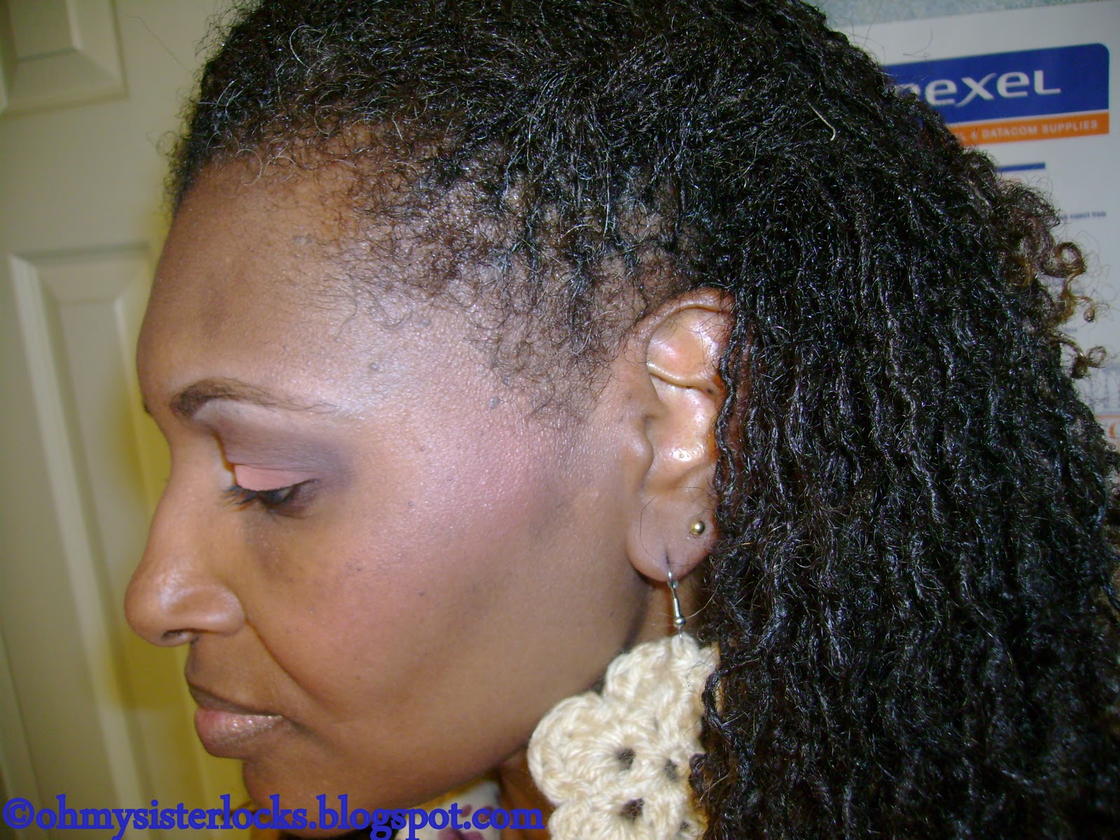 Oh My! Sisterlocks The Orlando Natural Hair Expo! HairStyle