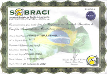 CERTIFICADO CANIL SOBRACI/FCI