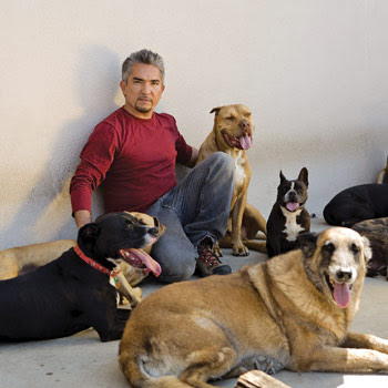 cesar millan family