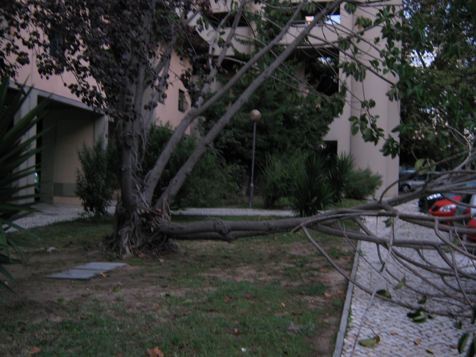 [Out+2008+013.JPG]