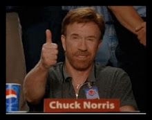 Este Blog é aprovado por Chuck Norris