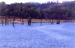 Thekkady