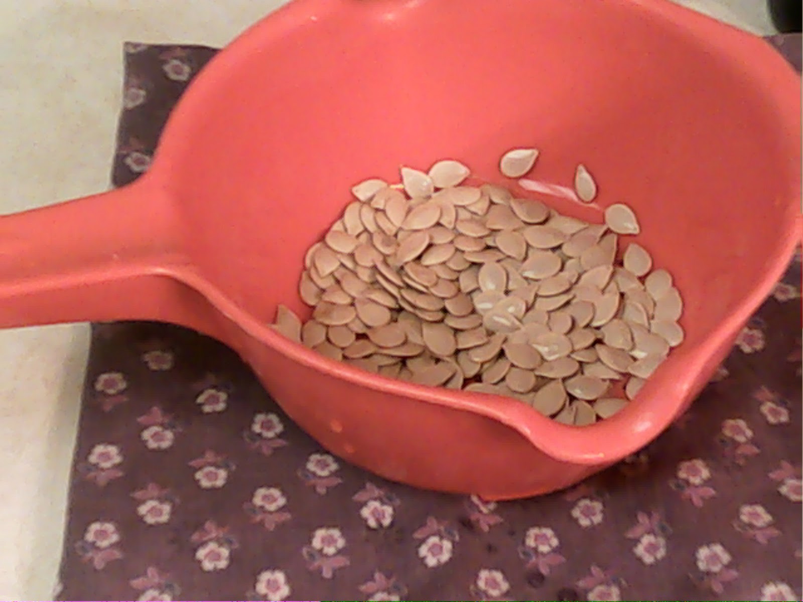 My Victory Garden Acorn Squash Seeds