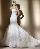 Pronovias Gown