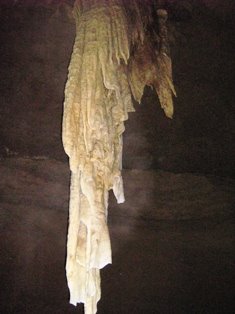 [IMG_1321.JPG]
