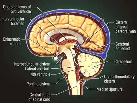 [medical03.gif]