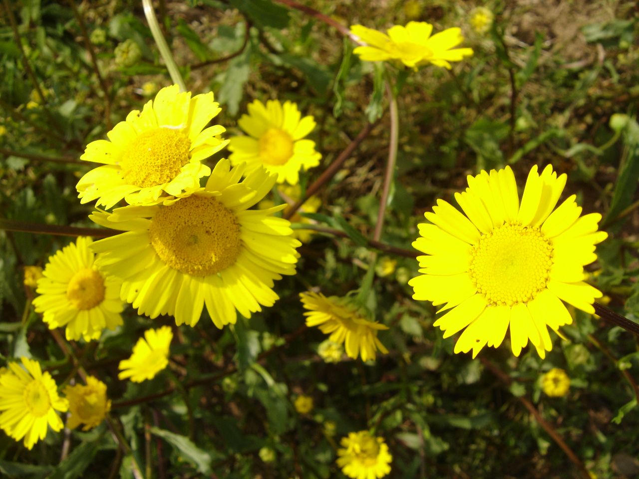 [DSC08141.JPG]