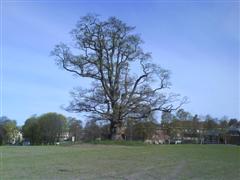 [DSC00049+(WinCE).JPG]