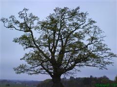 [DSC00095+(WinCE).JPG]