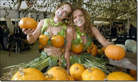 Not quite the pumpkin pie I was looking for, but beggars can't be choosers...