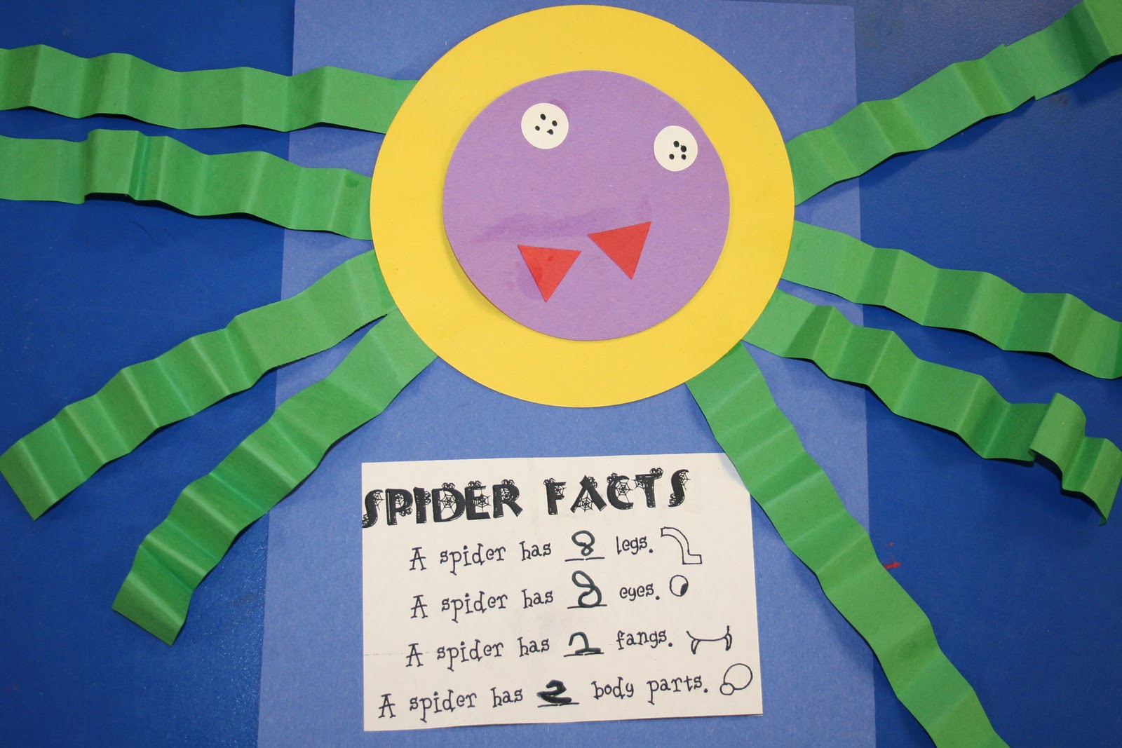 Mrs. Lee's Kindergarten: Spiders, Spiders, Spiders