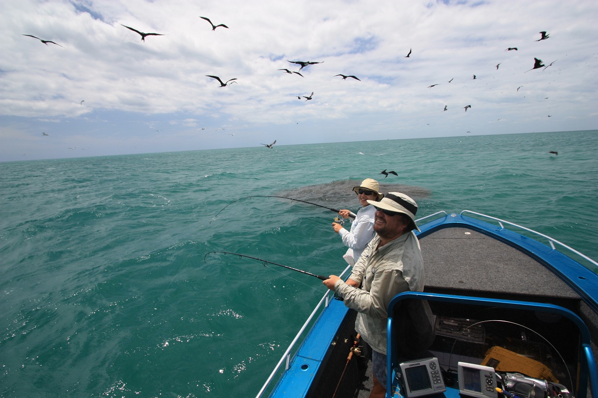Weipa Sports Fishing Bait Balls......