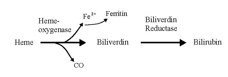 [hem-CO.JPG]