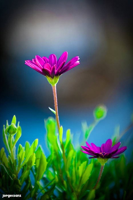 [AFIRM.DE+pODER+3.jpg]