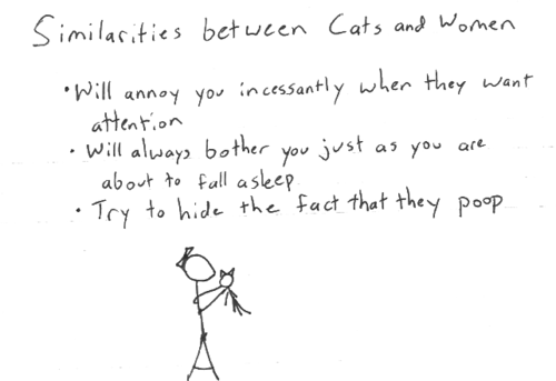 Sasa S Monolouge Women Are Like Cats