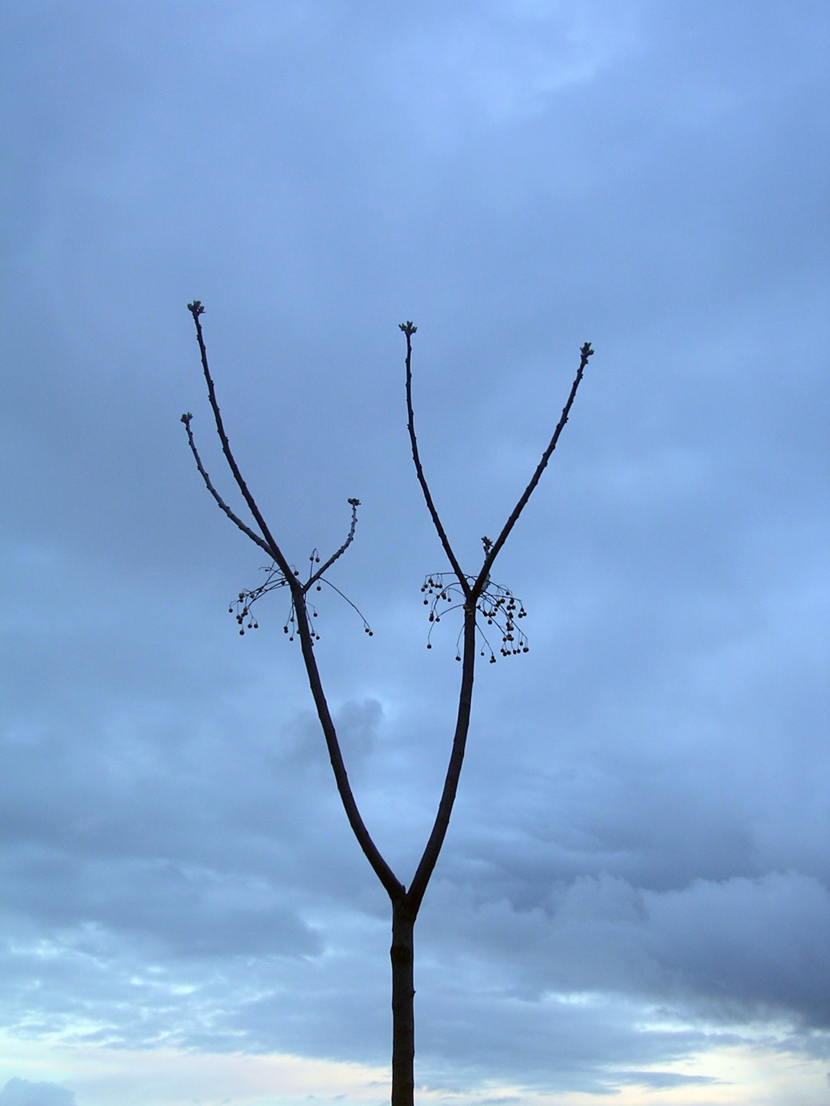 [DSCN4227.JPG]