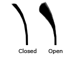 blade loft angle