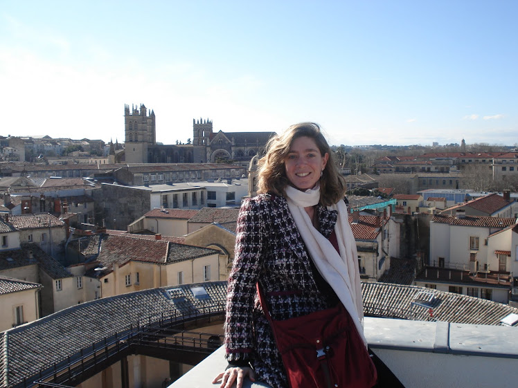 A Montpellier, vue sur l'Ecusson