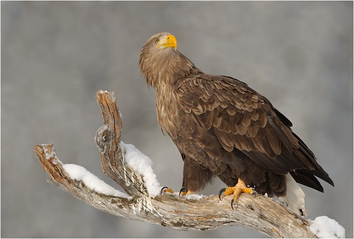 [WIP00037336_OMD3.jpg]