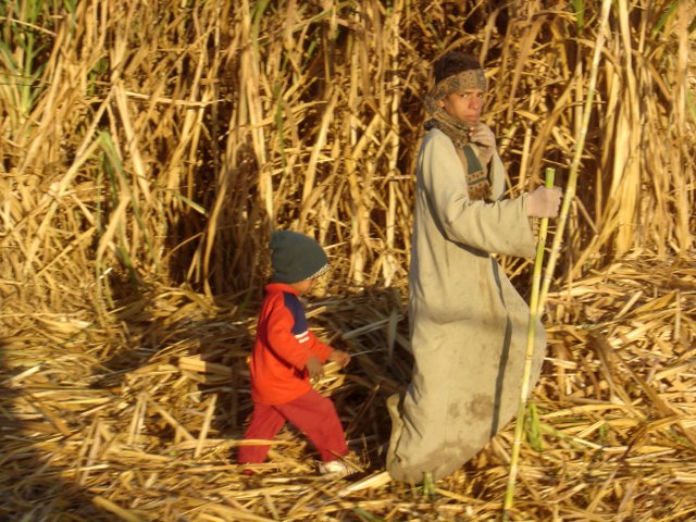 Hermano pequeño y mayor