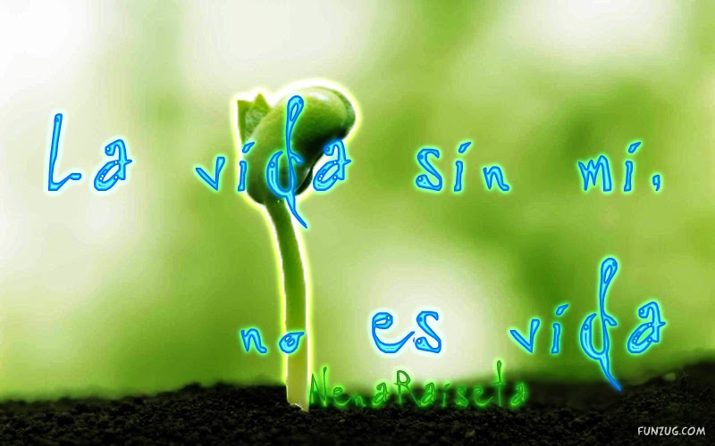 Торрент трекер - скачать игры, фильмы