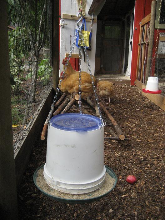 chicken feeder diy chicken feeder diy
