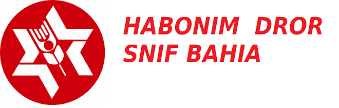 Habonim dror Snif bahia