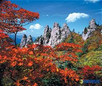 Korea Autumn