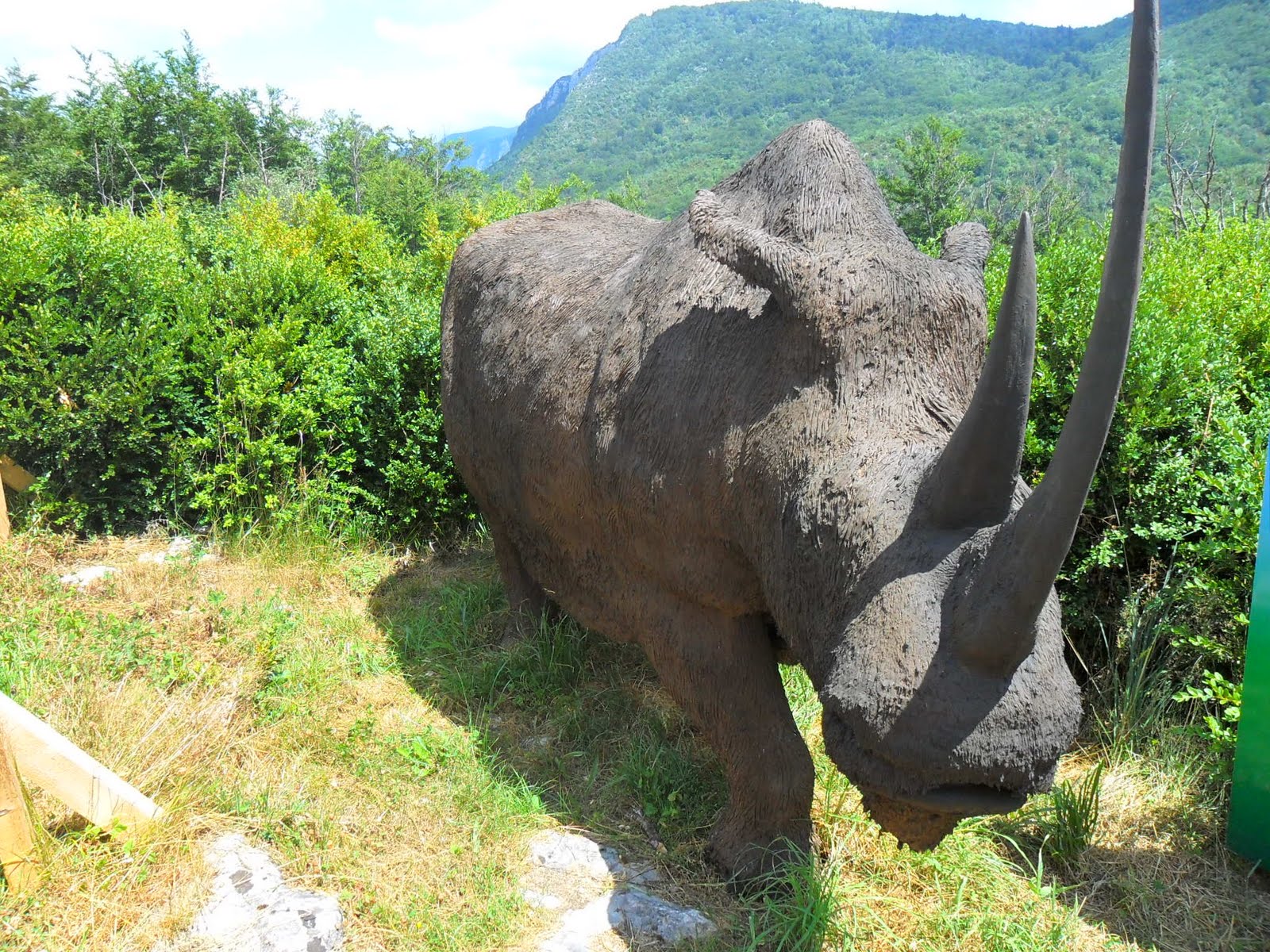 SITE DES SPELEOS DE LA REGION DE DINANT LES ANIMAUX PREHISTORIQUES