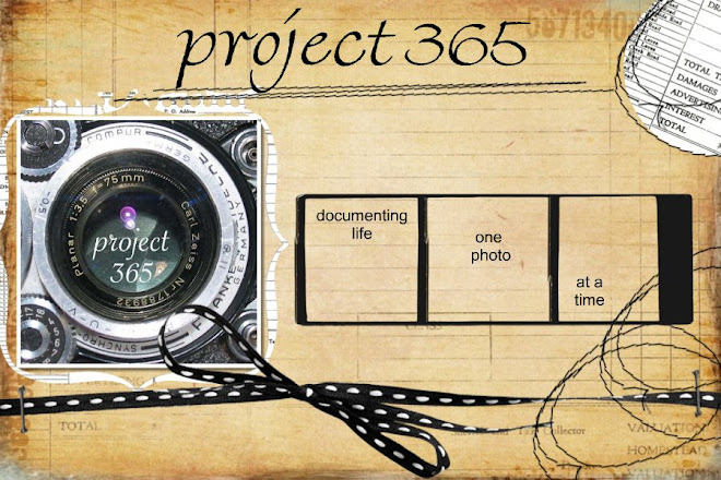 project 365