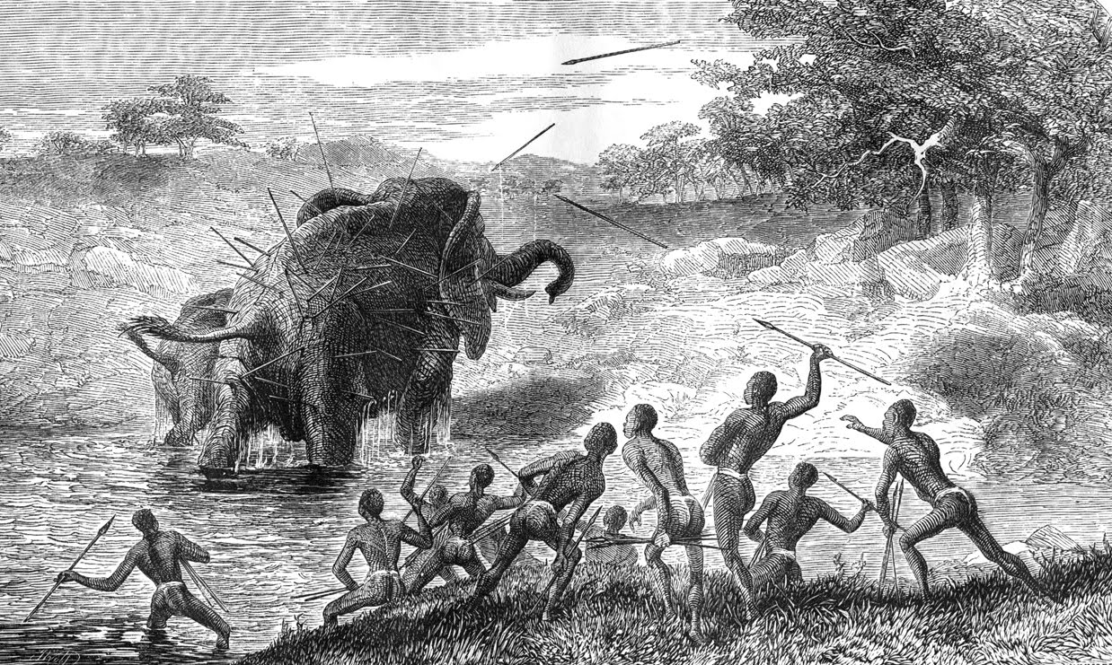 U uso do véu em corintios e a carta enviada ao IRMÃO DANIEL ALVES PENA. Livingstone-elephant+hunting