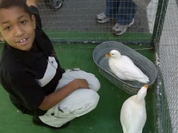 Petting+zoo+animals+clip+art