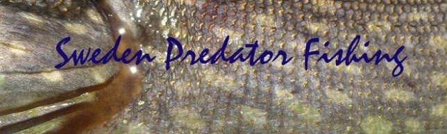 sweden predator fishing