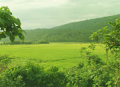 GREEN BANGLA