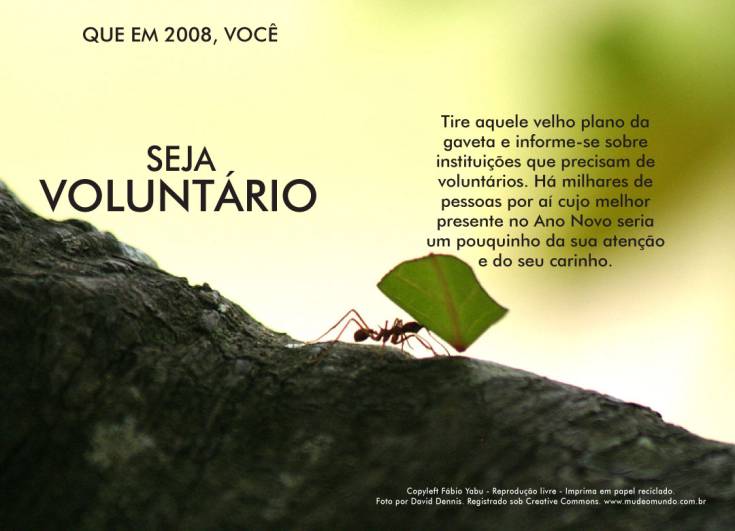 [image009.jpg]