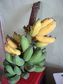 Pisang Raja