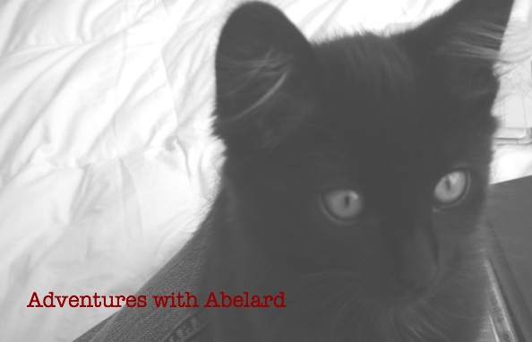 Adventures with Abelard