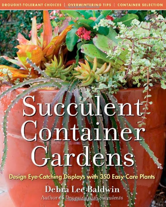 Molly Wood Garden Design Succulent Container Gardens