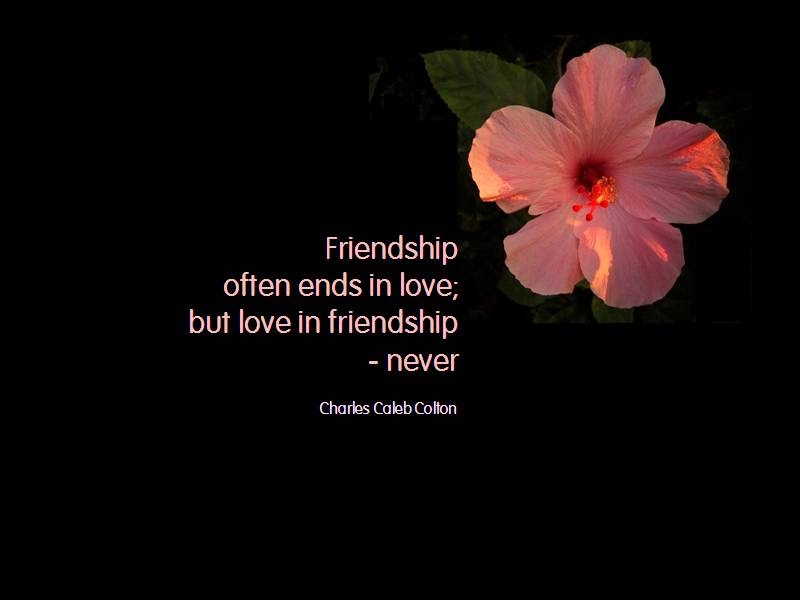 Friendship "Quotes" | nonstoptimz