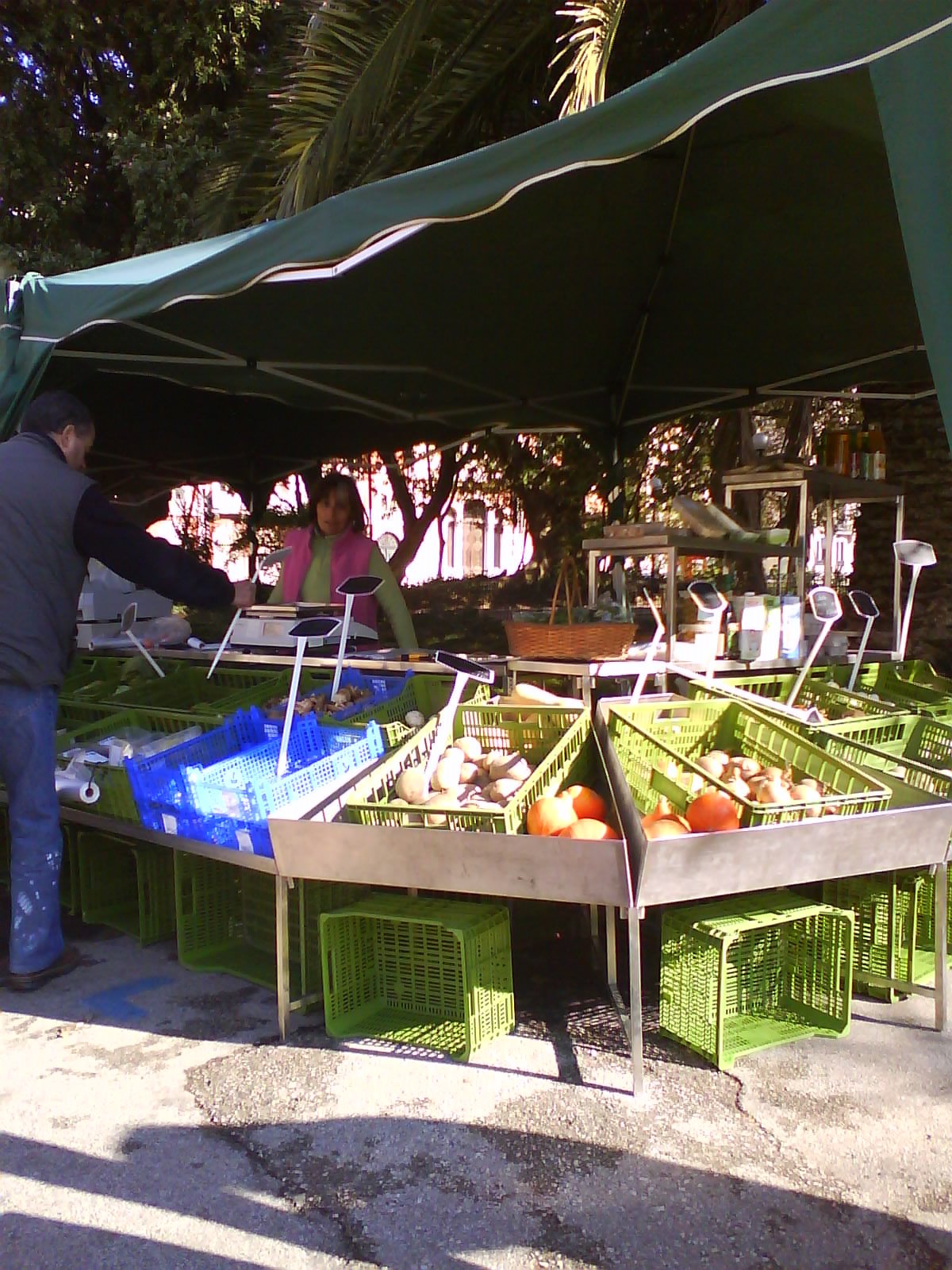 [DSC00955.JPG]