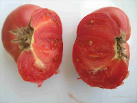 Ντομάτα σπορά φύτεμα καλλιέργεια  Tomato+Brandywine-Inside