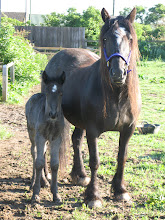 Duke with his mum Village Cargo