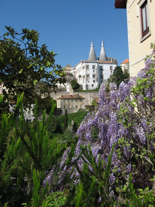 SINTRA-A BELEZA PURA