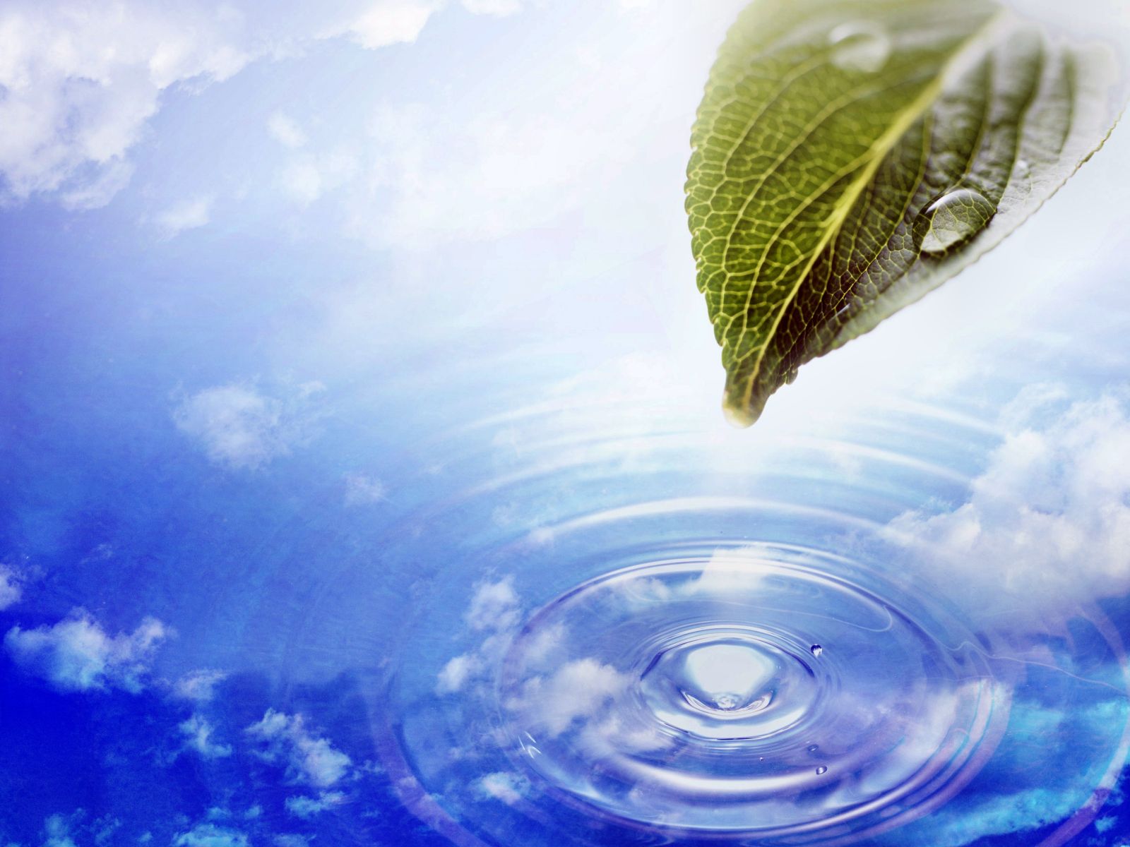 http://1.bp.blogspot.com/_-XjRj4eD9LM/TMZ07JvjswI/AAAAAAAAAW4/Y7-6Ed3BSmw/s1600/Desktop%2BWallpaper%2B%C2%B7%2BGallery%2B%C2%B7%2BWindows%2B7%2B%2BNature%2B-%2BWallpaper%2Bfor%2BWindows%2B7.jpg