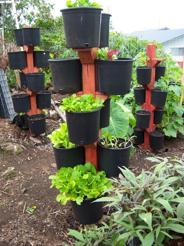 Best Vertical Garden