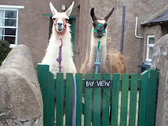 Llama Trek Info