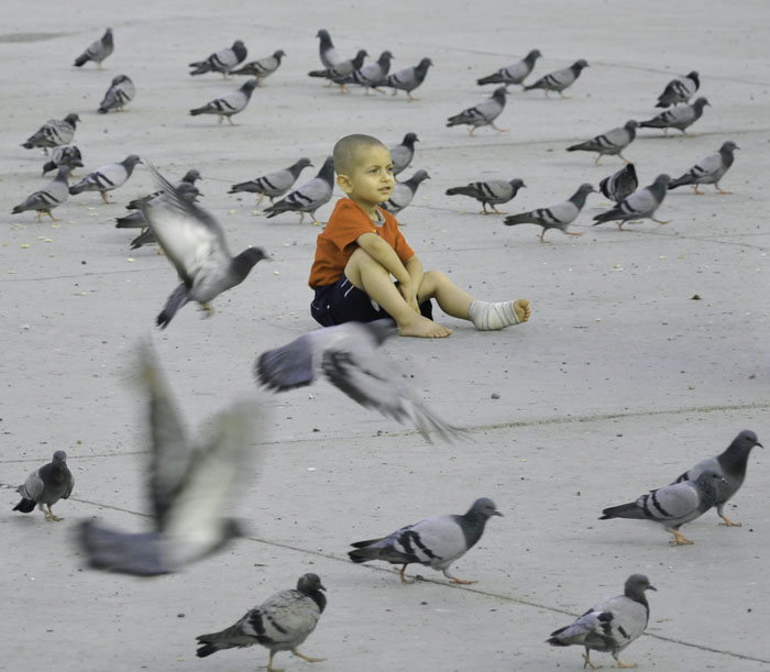 Anak Diantara Burung