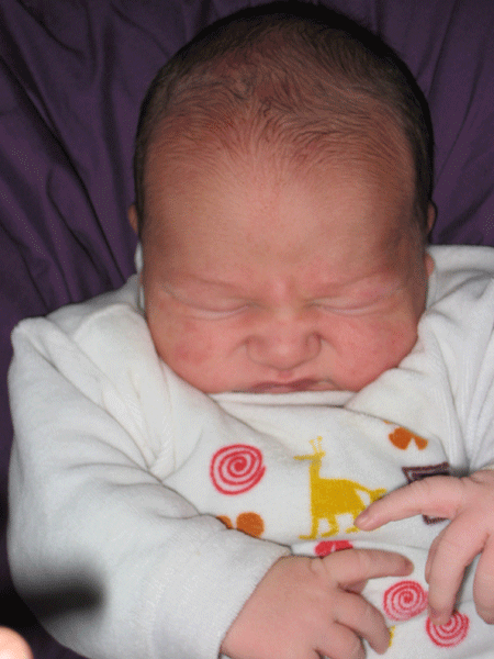 [alerte_20081209.gif]