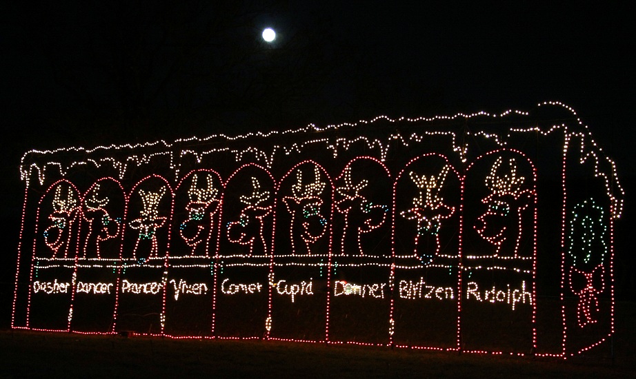 OTIS (Odd Things I've Seen) Christmas Light Festivals